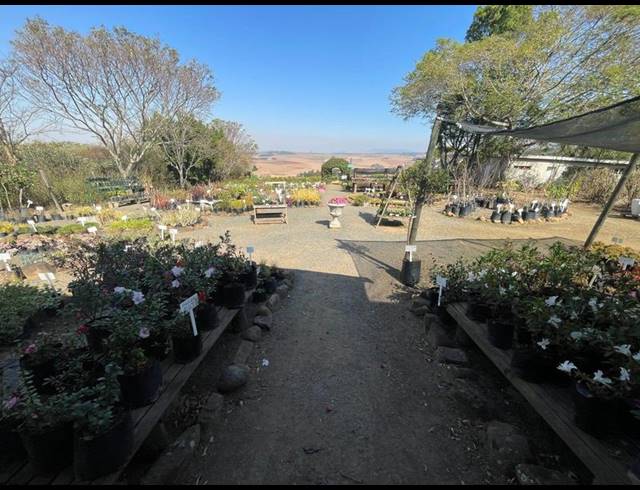FARM FOR SALE IN GREYTOWN